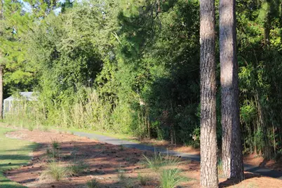 257 Royal Tern Way, Carrabelle, FL 32322 - Photo 3