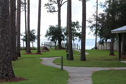 257 Royal Tern Way, Carrabelle, FL 32322 - Photo 13