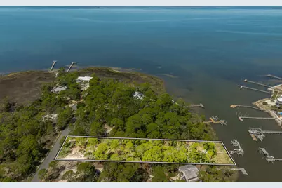 1235 Avocet Ln, Saint George Island, FL 32328 - Photo 7