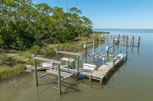 1235 Avocet Ln, Saint George Island, FL 32328 - Photo 1