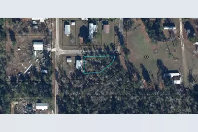Tba King Ave, Wewahitchka, FL 32465 - Photo 5