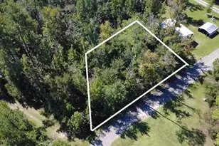Tba King Ave, Wewahitchka, FL 32465 - Photo 1