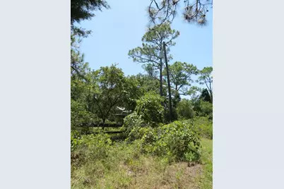 2654 + Oak St, Carrabelle, FL 32322 - Photo 5