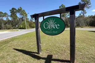 112 Cove Ln, Port Saint Joe, FL 32456 - Photo 81