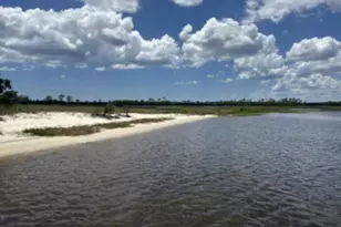 8 Tarpon St, Alligator Point, FL 32346 - Photo 39