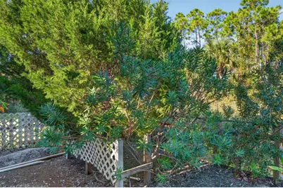 323 Bradford St, Saint George Island, FL 32328 - Photo 49