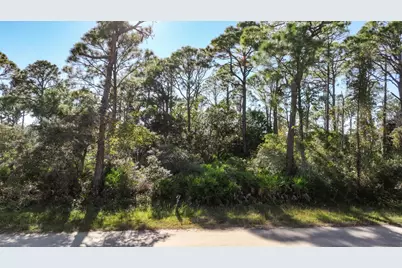 308 Howell St, Saint George Island, FL 32328 - Photo 13