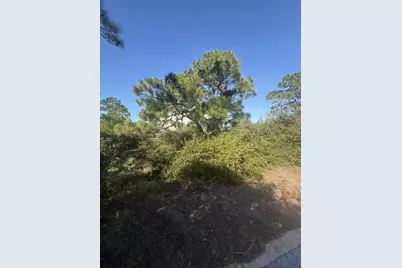 393 Cord Grass Way, Cape San Blas, FL 32456 - Photo 9