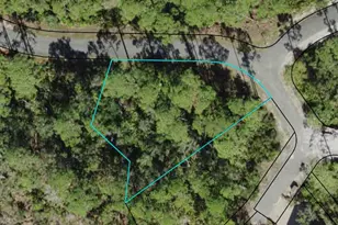 136 Marshmallow Ln, Saint Teresa, FL 32358 - Photo 1