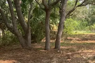 1707 Carrabelle Beach Dr, Carrabelle, FL 32322 - Photo 1