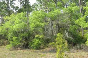 Lot 7 Lucy Ln, Panacea, FL 32346 - Photo 1
