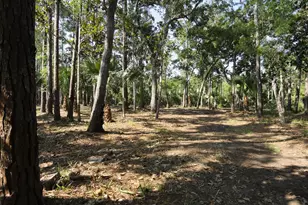 114 Melanie Ln, Apalachicola, FL 32320 - Photo 1