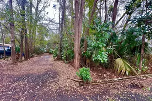 18 Adams St, Apalachicola, FL 32320 - Photo 1