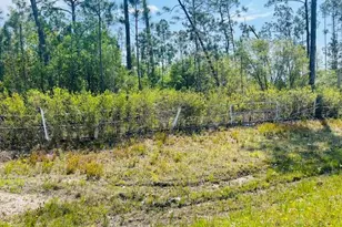 8942 Cr 386 N, Wewahitchka, FL 32465 - Photo 1