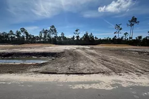 306 Hardy St, Port Saint Joe, FL 32456 - Photo 1