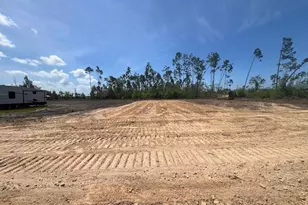 175 Yellowfin Dr, Port Saint Joe, FL 32456 - Photo 1