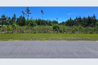 110 Wide Water Cir, Wewahitchka, FL 32465 - Photo 1