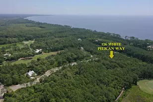 126 White Pelican Way, Carrabelle, FL 32323 - Photo 1