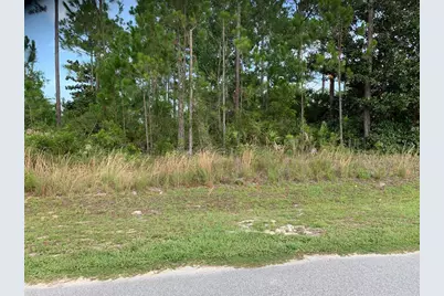 119 Palm Breeze Way, Port Saint Joe, FL 32456 - Photo 1