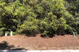 159 Royal Tern Way, Carrabelle, FL 32322 - Photo 1