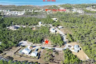 30 Shallow Reed Dr, Port Saint Joe, FL 32456 - Photo 1