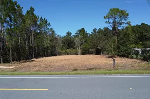 Lot 21 Doc Whitfield Rd, Wewahitchka, FL 32465 - Photo 1