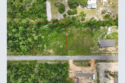 135 Jazzy Lane, Wewahitchka, FL 32456 - Photo 1