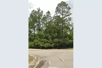 162 Skimmer Dr, Carrabelle, FL 32323 - Photo 1