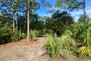 74 Westview St, Panacea, FL 32346 - Photo 1