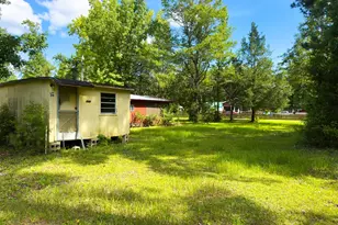 706 Bryant Landing Rd, Wewahitchka, FL 32465 - Photo 1