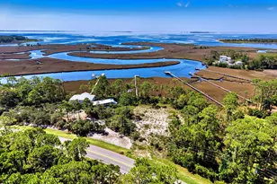 160 Timber Island Rd, Carrabelle, FL 32322 - Photo 1