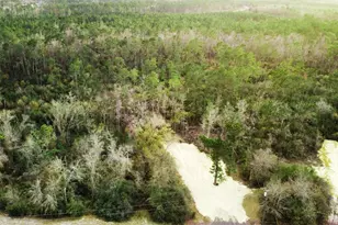 2072 Stone Mill Creek Rd, Wewahitchka, FL 32465 - Photo 1