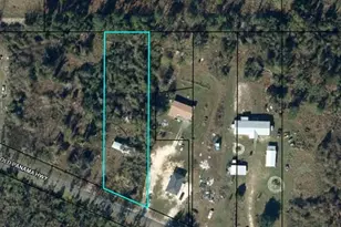 2171 Old Panama Hwy, Wewahitchka, FL 32465 - Photo 1