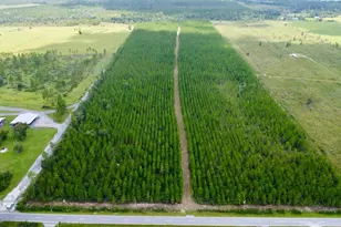 Tbd Borders Rd, Wewahitchka, FL 32465 - Photo 1