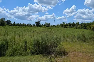 111 Golden Rod Ln, Wewahitchka, FL 32465 - Photo 1