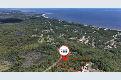 262 Frank McKamey Way, Carrabelle, FL 32322 - Photo 1