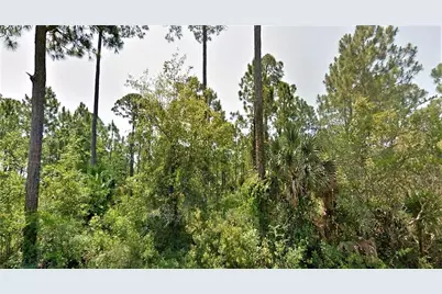 14 Cr 30-A, Port Saint Joe, FL 32456 - Photo 1