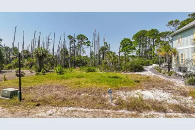 251 Cord Grass Way, Port Saint Joe, FL 32456 - Photo 1