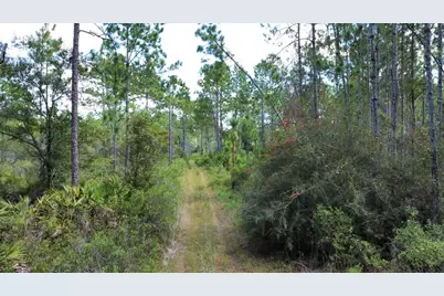 151 Al's Landing, Eastpoint, FL 32328 - Photo 1