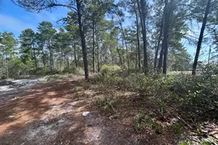 1863 Lighthouse Rd, Carrabelle, FL 32322 - Photo 1