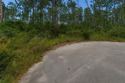 180 Alexis Way, Wewahitchka, FL 32465 - Photo 1