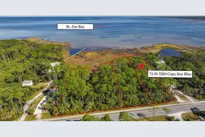 Tbd Cape San Blas Rd, Port Saint Joe, FL 32456 - Photo 1