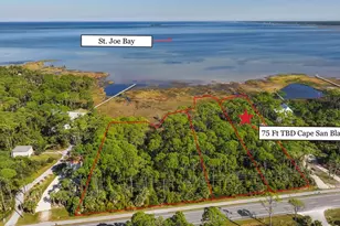 Tbd Cape San Blas Rd, Port Saint Joe, FL 32456 - Photo 1