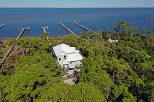2019 Sand Dollar Trail, Saint George Island, FL 32328 - Photo 1