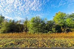 Tbd SW Sr 73, Kinard, FL 32449 - Photo 1
