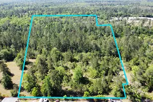 Tbd E River Rd, Wewahitchka, FL 32456 - Photo 1