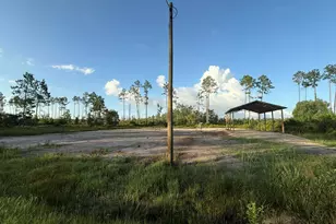 6312 Doc Whitfield Rd, Wewahitchka, FL 32465 - Photo 1