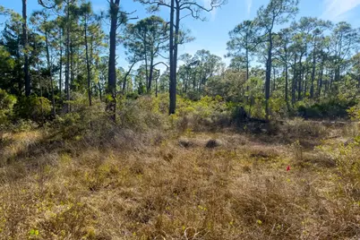 1279 Avocet Ln, Saint George Island, FL 32328 - Photo 1