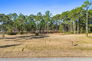 729 Plantation Dr, Port Saint Joe, FL 32456 - Photo 1