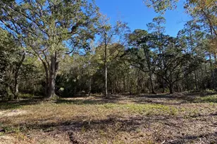 Lot 3 Hwy 98 E, Port Saint Joe, FL 32456 - Photo 1